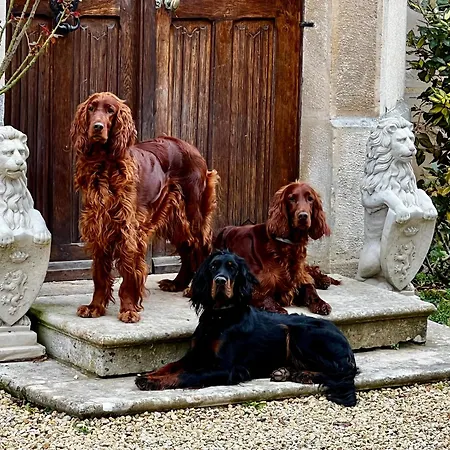 Le Château De Leugny 4* Oiron