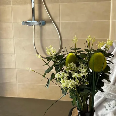 Le Chateau De Leugny Bed & Breakfast Oiron