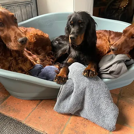 Le Chateau De Leugny